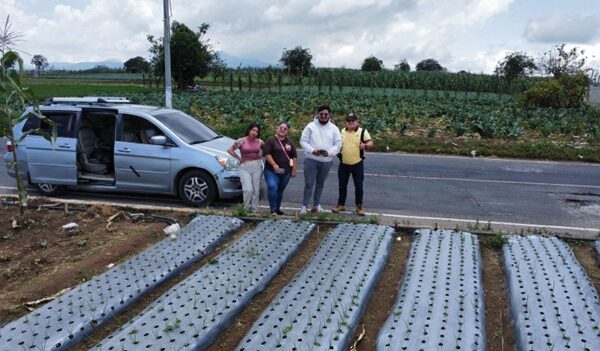 In front of the team - Growing Onions Balanya