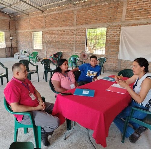 Evelin planning for future education events with the Local Educators